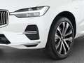 Volvo XC60 T8 Recharge AWD Plus Bright 21"+LUFTFAHRWER Білий - thumbnail 9