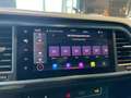 SEAT Arona 1.0 EcoTSI Black Edition Bianco - thumbnail 11