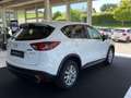 Mazda CX-5 CD150 AWD Attraction Aut. Weiß - thumbnail 6