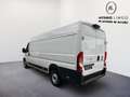 Fiat Ducato L5H2 Maxi 35 140PS/RADIO/KLIMA/260°/ Weiß - thumbnail 4