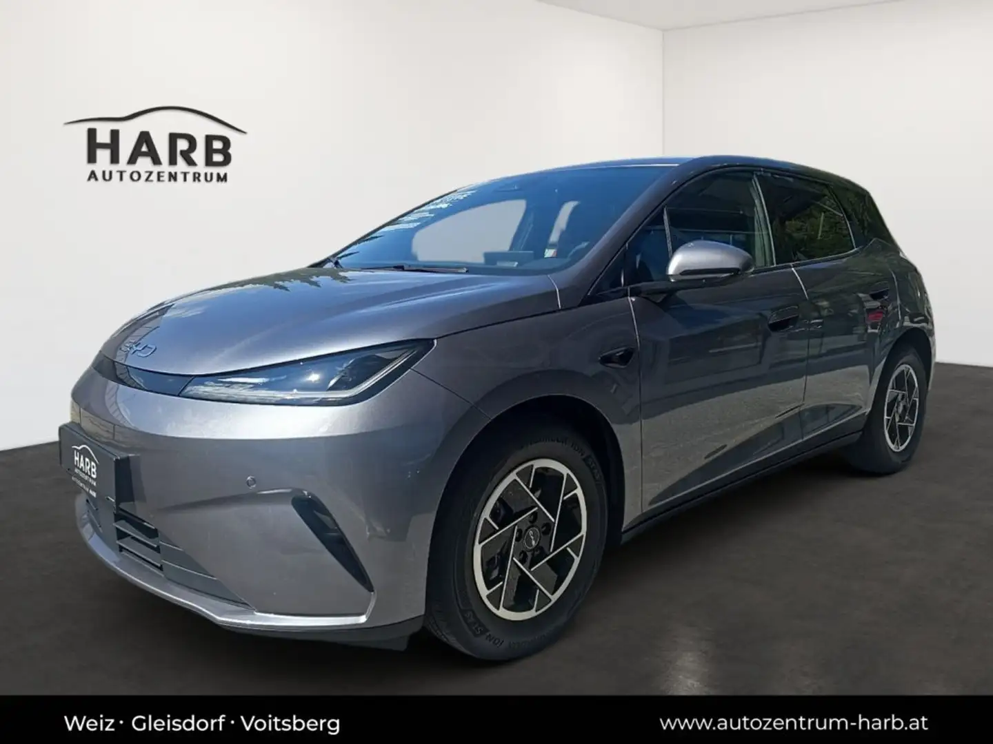 BYD Dolphin G DM-i Boost Grau - 2