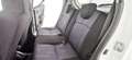 Suzuki Alto 1.0 VVT GL - OK NEOPATENTATI Bianco - thumbnail 14