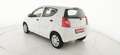 Suzuki Alto 1.0 VVT GL - OK NEOPATENTATI Bianco - thumbnail 5