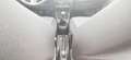 Suzuki Alto 1.0 VVT GL - OK NEOPATENTATI Bianco - thumbnail 12