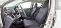 Suzuki Alto 1.0 VVT GL - OK NEOPATENTATI Bianco - thumbnail 13