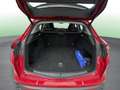 Alfa Romeo Stelvio 2.2 Executive AWD 190 Aut. Rojo - thumbnail 16