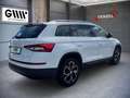 Skoda Kodiaq 2,0 TDI SCR 4x4 Blanc - thumbnail 4