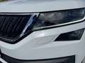 Skoda Kodiaq 2,0 TDI SCR 4x4 Blanc - thumbnail 12