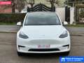 Tesla Model Y Model Y Single Motor RWD Blanco - thumbnail 8