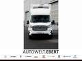 Maxus Deliver9 FG L3H0 mit -Spier Kühlkofferaufbau- - thumbnail 1