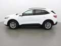 Ford Kuga TITANIUM 150 ECOBOOST Blanc - thumbnail 3