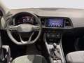 SEAT Ateca 2.0 tdi Business 150cv dsg Bianco - thumbnail 12