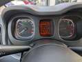 Fiat Panda 1.0 FireFly Hybrid City Life Gris - thumbnail 11