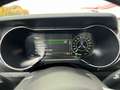 Ford Mustang Mustang 5,0 Ti-VCT V8 GT GT Blau - thumbnail 20