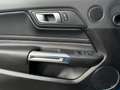Ford Mustang Mustang 5,0 Ti-VCT V8 GT GT Blau - thumbnail 15
