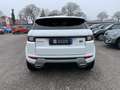 Land Rover Range Rover Evoque 2.0 TD4 150 CV 5p. SE Dynamic Bianco - thumbnail 12