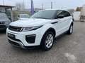 Land Rover Range Rover Evoque 2.0 TD4 150 CV 5p. SE Dynamic Bianco - thumbnail 8