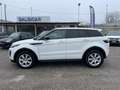 Land Rover Range Rover Evoque 2.0 TD4 150 CV 5p. SE Dynamic Bianco - thumbnail 9