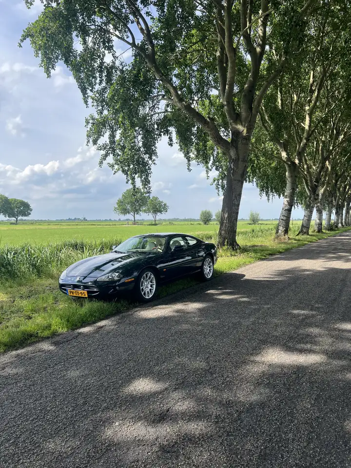 Jaguar XK8, foto 6