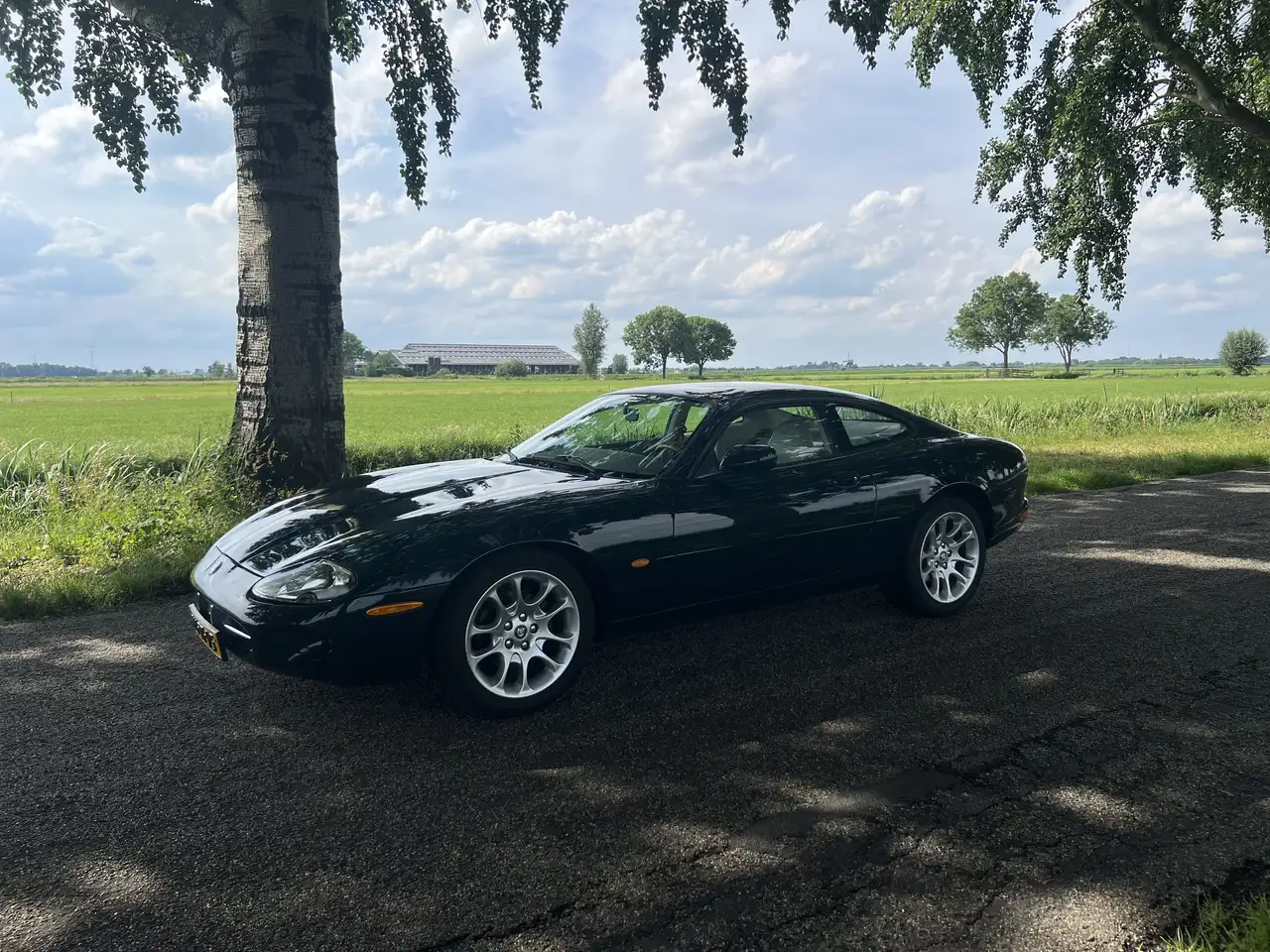 Jaguar XK8, foto 3