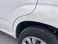 Fiat Panda Panda 0.9 t.air t. natural powe Bianco - thumbnail 9