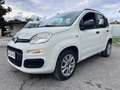 Fiat Panda Panda 0.9 t.air t. natural powe Bianco - thumbnail 1