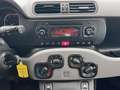 Fiat Panda Panda 0.9 t.air t. natural powe Bianco - thumbnail 6