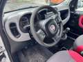 Fiat Panda Panda 0.9 t.air t. natural powe Bianco - thumbnail 4