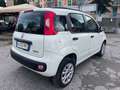 Fiat Panda Panda 0.9 t.air t. natural powe Bianco - thumbnail 12
