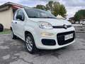 Fiat Panda Panda 0.9 t.air t. natural powe Bianco - thumbnail 2