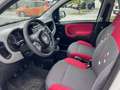 Fiat Panda Panda 0.9 t.air t. natural powe Bianco - thumbnail 3