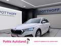 Skoda Octavia Combi 2.0 TDI STYLE NAVI PDC SITZHZG ACC Weiß - thumbnail 1