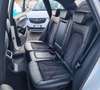 Audi Q5 3.0  TDI quattro S tronic S-LINE INTERNO + ESTERNO Blanco - thumbnail 6