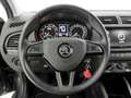 Skoda Fabia 1.0 MPI 75 CV Ambition Grigio - thumbnail 8
