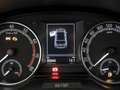 Skoda Fabia 1.0 MPI 75 CV Ambition Grigio - thumbnail 12