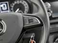 Skoda Fabia 1.0 MPI 75 CV Ambition Grigio - thumbnail 10