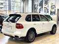 Porsche Cayenne 3.6 FL Tiptronic - 20" - Navigatore - Pelle Beige Alb - thumbnail 4