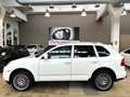 Porsche Cayenne 3.6 FL Tiptronic - 20" - Navigatore - Pelle Beige Bianco - thumbnail 2