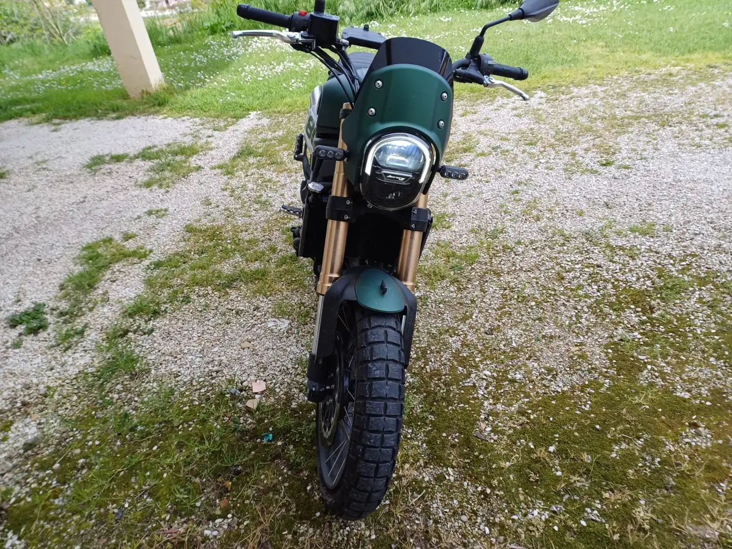Benelli Leoncino 800 trail Verde - 2
