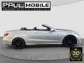 Mercedes-Benz E 250 AMG Cabrio Navi ACC LED H&K-Logic7 Leder Silber - thumbnail 7
