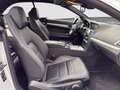 Mercedes-Benz E 250 AMG Cabrio Navi ACC LED H&K-Logic7 Leder Silber - thumbnail 12