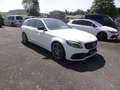 Mercedes-Benz C 63 AMG C 63 S AMG T /LED/PANO/CAM/NAVI/SPORTA-KLAPPE Blanc - thumbnail 5