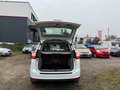 Ford Grand C-Max Titanium Bianco - thumbnail 11