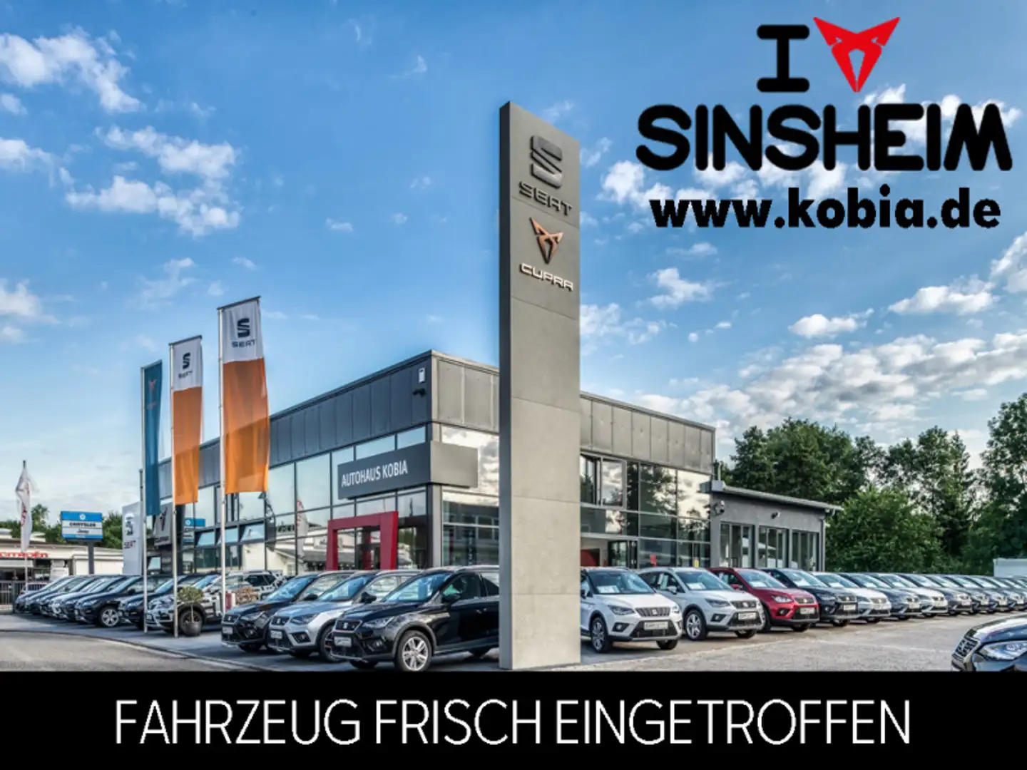 SEAT Arona Arona FR-Lione 1.0TSi 115PS 7-Gang-DSG Grigio - 1