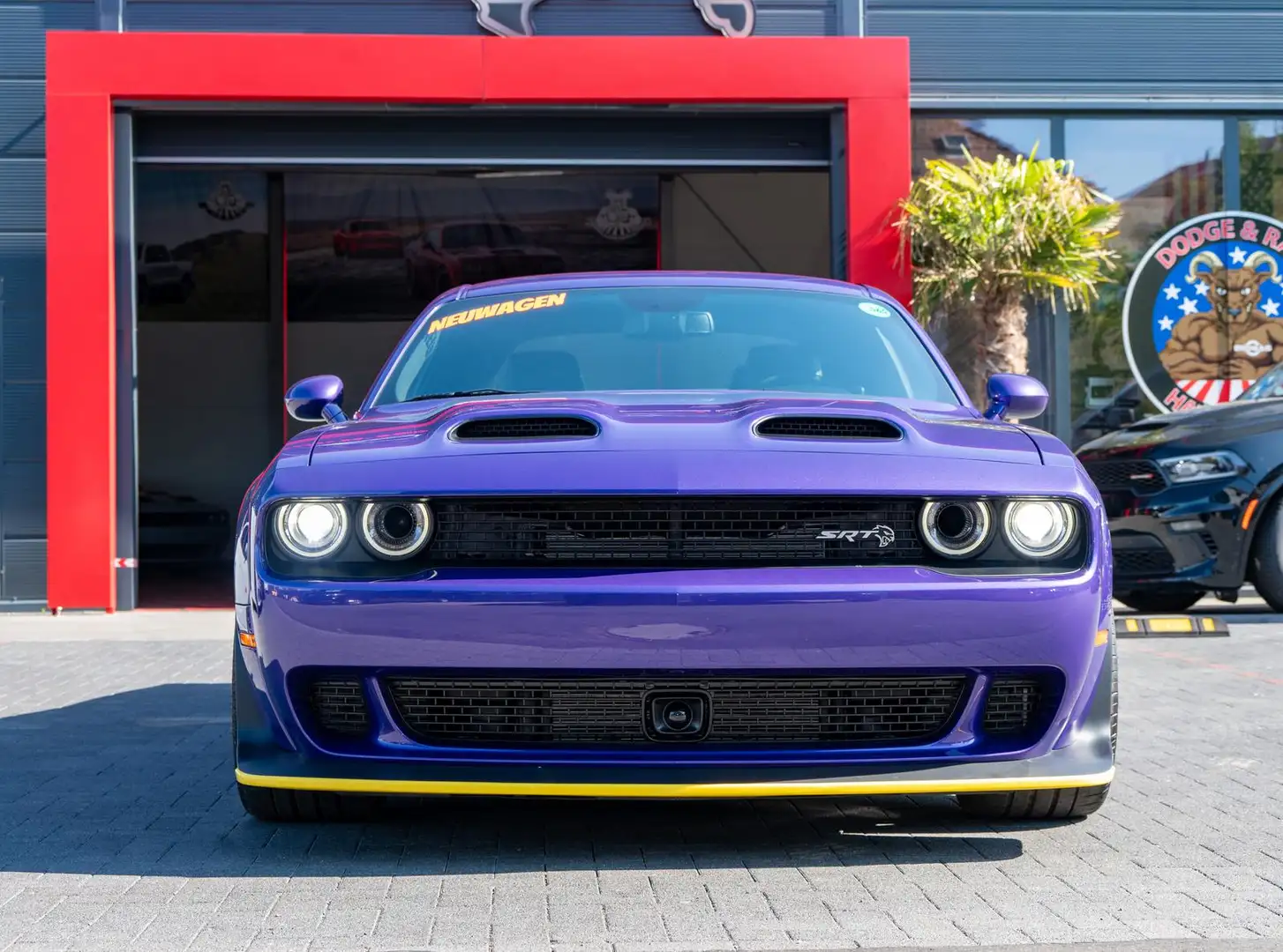 Dodge Challenger Hellcat Jailbreak 6,2l WB,Alcant.,ACC Mauve - 2