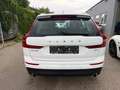 Volvo XC60 D4 Momentum Geartronic Weiß - thumbnail 5