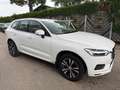 Volvo XC60 D4 Momentum Geartronic Weiß - thumbnail 3