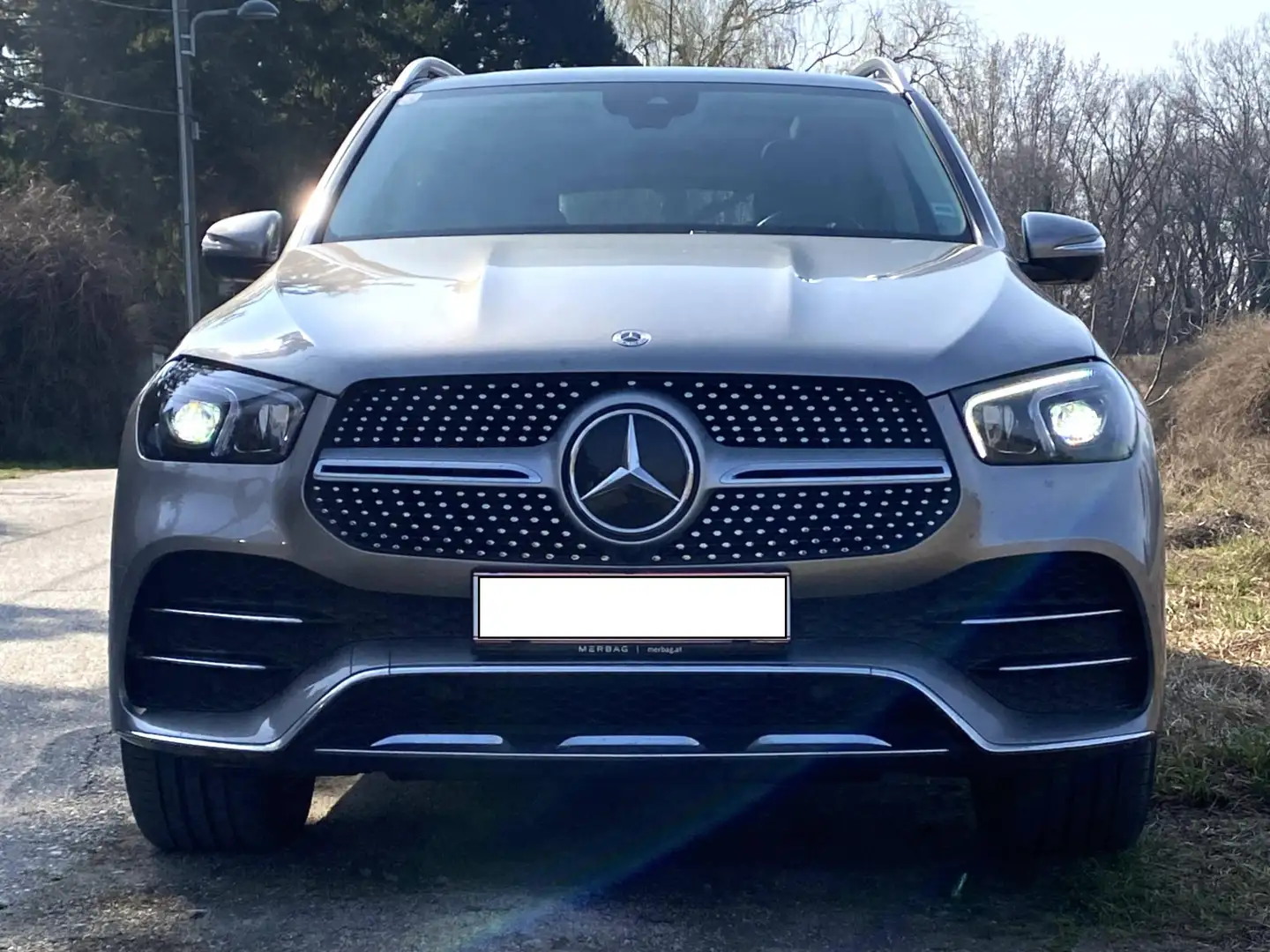 Mercedes-Benz GLE 400 GLE 400 d 4Matic Aut. Silber - 2