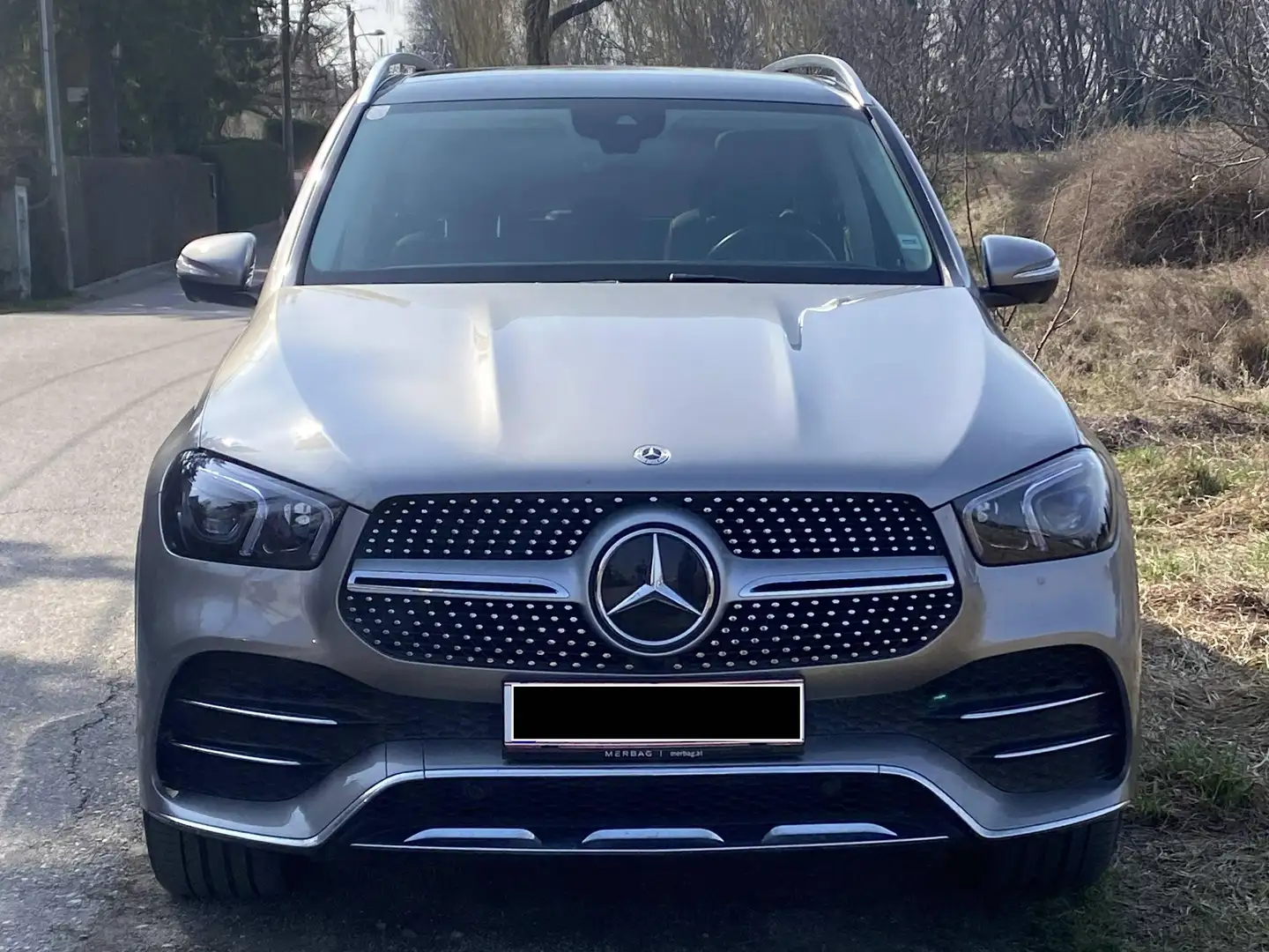 Mercedes-Benz GLE 400 GLE 400 d 4Matic Aut. Silber - 1