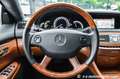 Mercedes-Benz CL 500 4MATIC Designo Schiebedach Scheckheft Grau - thumbnail 22